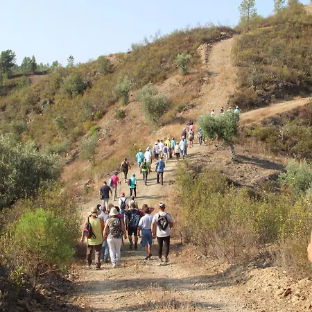 Pucaricas - Country & Nature *